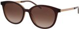 Picture of glasses model HG 1081/S 09Q/HA 53-17