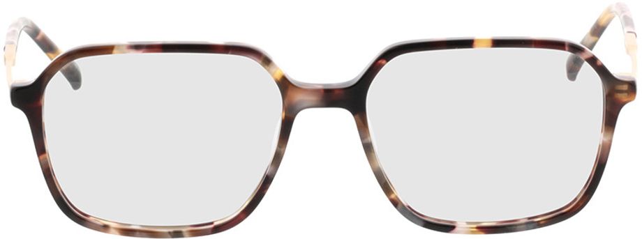 Picture of glasses model Indio havana/mat Goud in angle 0