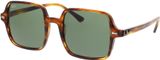 Picture of glasses model Ray-Ban RB1973 954/31 53-20