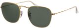 Picture of glasses model Ray-Ban Frank RB3857 919631 51-20