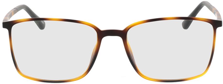 Picture of glasses model Elvas-mat havana in angle 0
