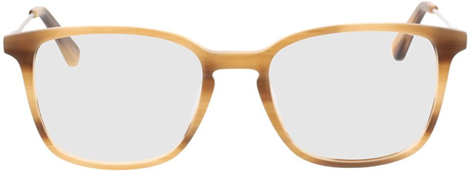 Picture of glasses model Lazio - braun-meliert/silber in angle 0