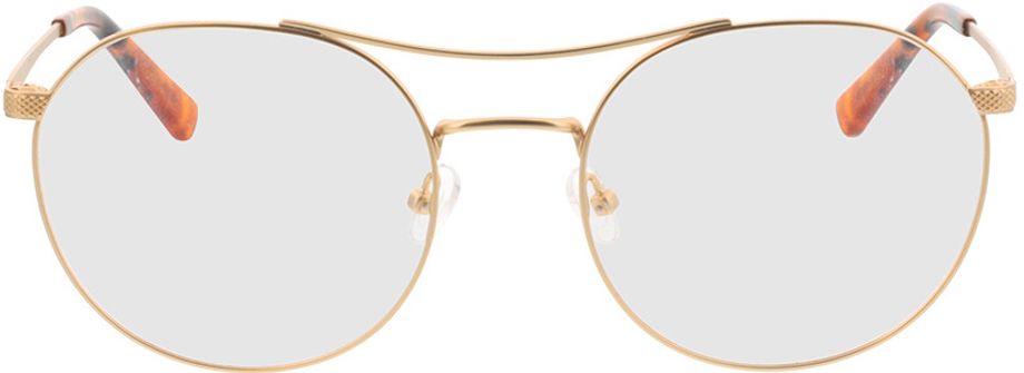 Picture of glasses model Leto - gold/havanna in angle 0