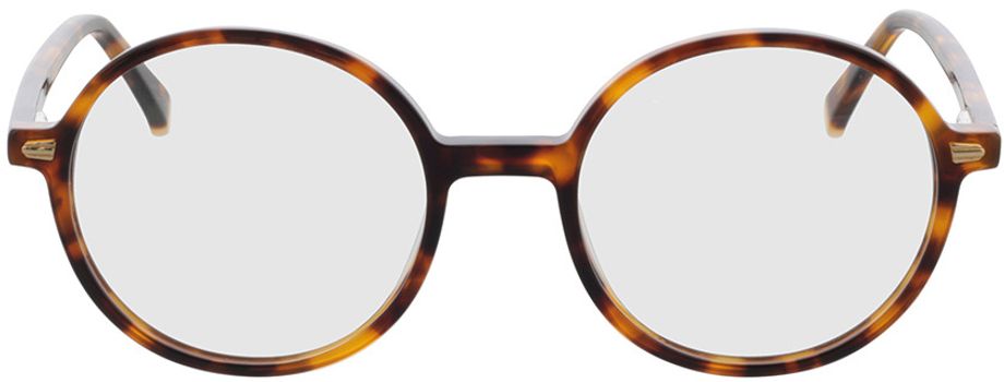 Picture of glasses model Oregon - havana in angle 0