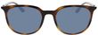 Product with lens tinting