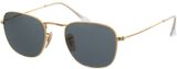 Picture of glasses model Ray-Ban Frank RB3857 9196R5 48-20