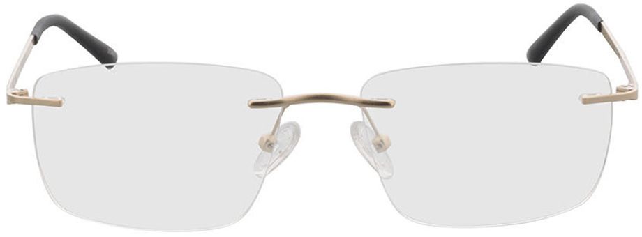 Picture of glasses model Livius - matt gold in angle 0