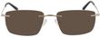 Product with lens tinting