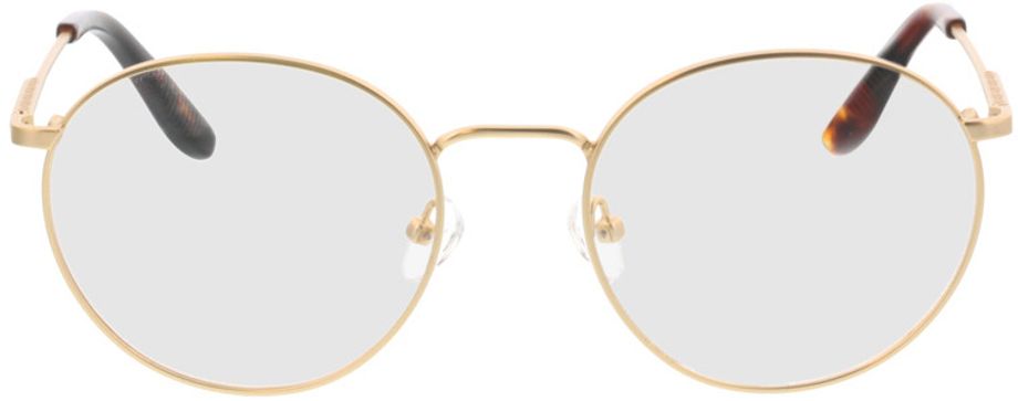 Picture of glasses model Paul - matt gold in angle 0