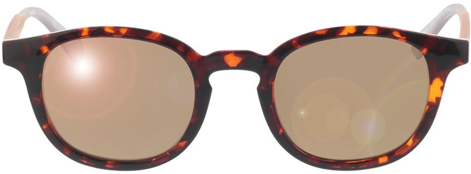 Picture of glasses model PLD 2096/S 086 48-23 in angle 0