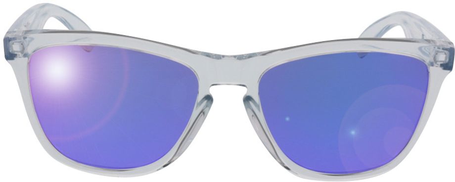 Picture of glasses model Oakley Frogskins OO9013 24-305 55-17 in angle 0