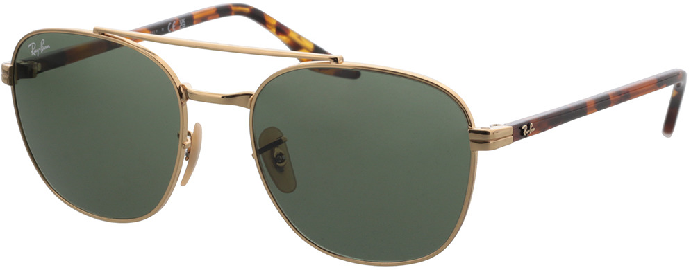 Picture of glasses model Ray-Ban RB3688 001/31 55-19