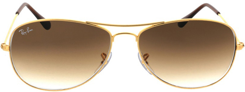 Picture of glasses model Ray-Ban Cockpit RB3362 001/51 59-14 in angle 0