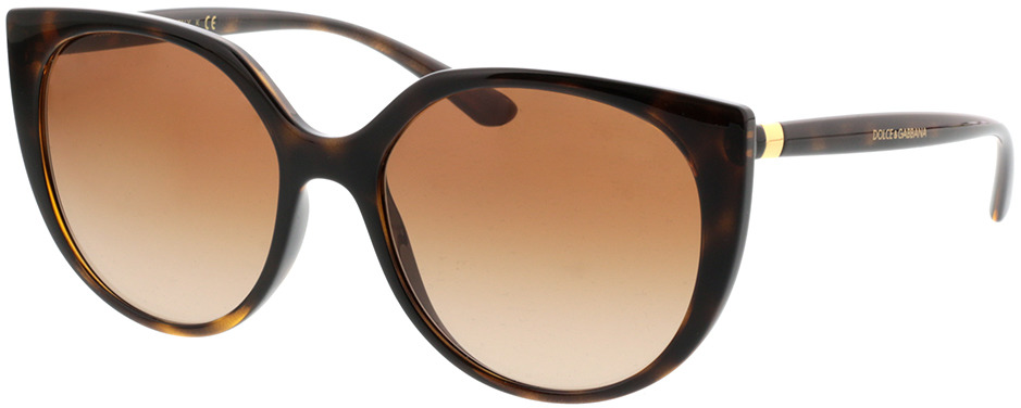 Picture of glasses model Dolce&Gabbana DG6119 502/13 54-17