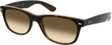 Picture of glasses model Ray-Ban New Wayfarer RB2132 710/51 55 18