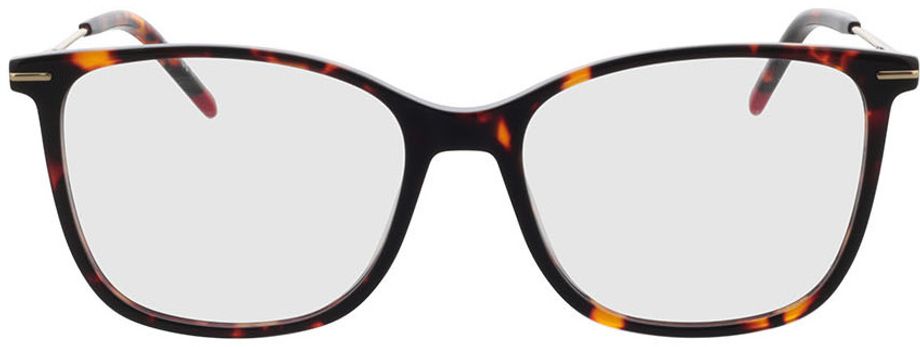 Picture of glasses model HG 1214 086 53-16 in angle 0