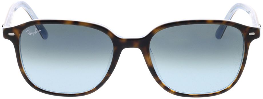 Picture of glasses model Ray-Ban Leonard RB2193 13163M 53-18 in angle 0