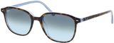 Picture of glasses model Ray-Ban Leonard RB2193 13163M 53-18