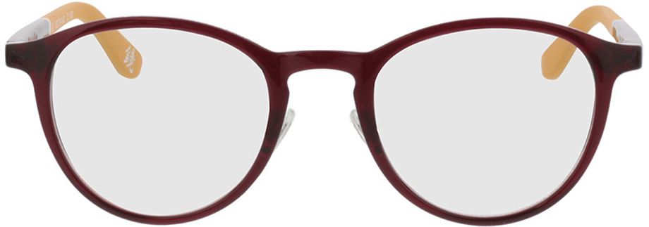 Picture of glasses model Superdry SDO Alby 160 48-21 in angle 0
