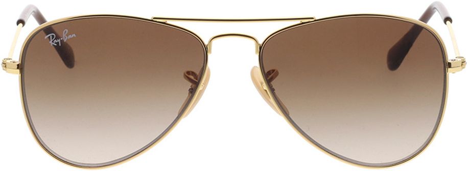 Picture of glasses model Junior Aviator RJ9506S 223/13 50-13 in angle 0