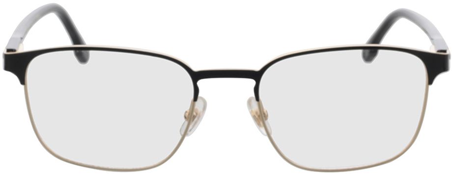 Picture of glasses model 253 2M2 53-19 in angle 0