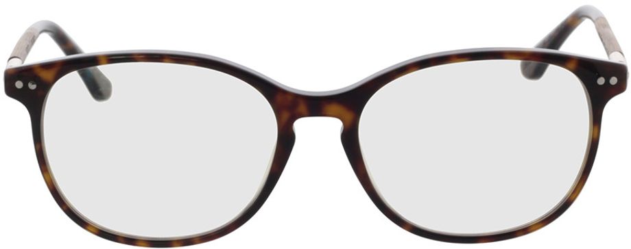 Picture of glasses model Optical Prospect walnut/havana 54-17 in angle 0