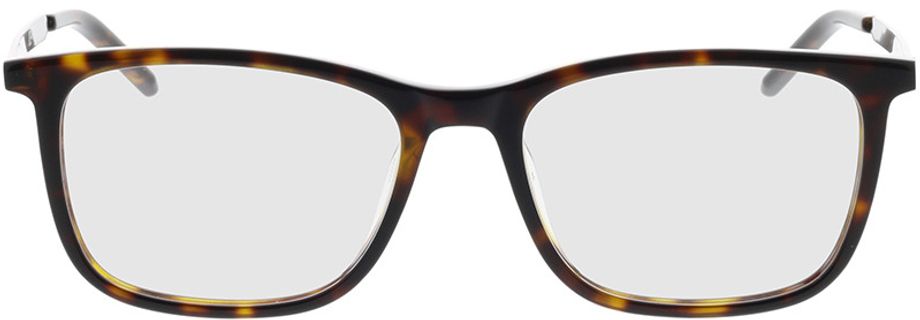 Picture of glasses model HG 1018 086 52-17 in angle 0