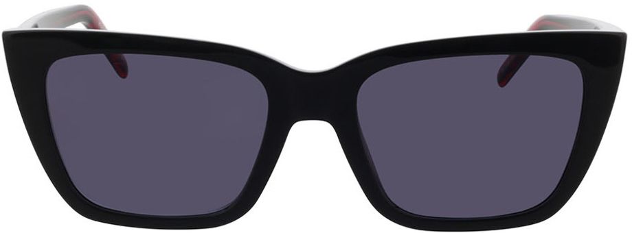 Picture of glasses model HG 1249/S OIT/AO 54-19 in angle 0