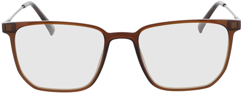 Picture of glasses model Charles-braun-transparent/matt schwarz in angle 0