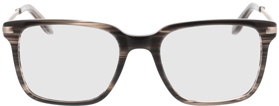 Picture of glasses model Celino-gris horn in angle 0