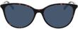 Product with lens tinting
