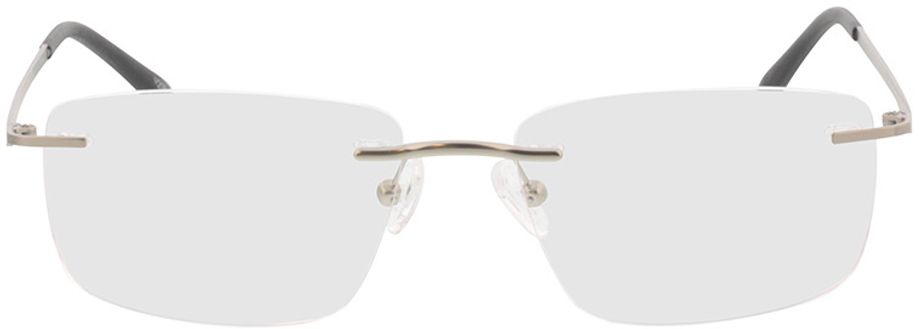 Picture of glasses model Livius-argenté mat in angle 0