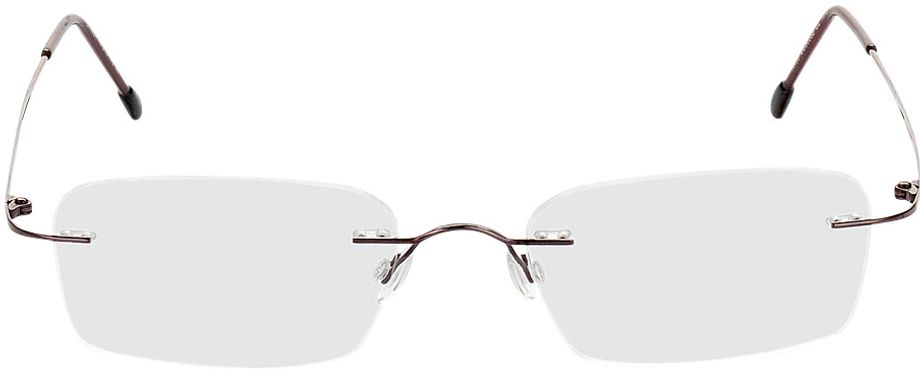 Picture of glasses model Davos - braun in angle 0