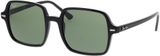 Picture of glasses model Ray-Ban RB1973 901/31 53-20