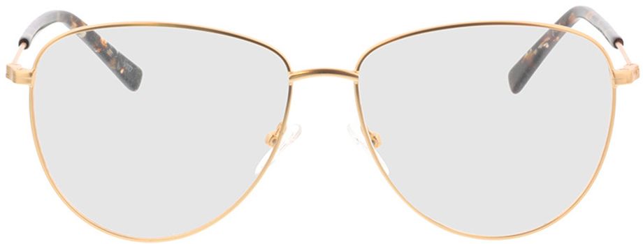 Picture of glasses model Riley-matt gold in angle 0