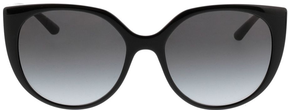 Picture of glasses model Dolce&Gabbana DG6119 501/8G 54-17 in angle 0