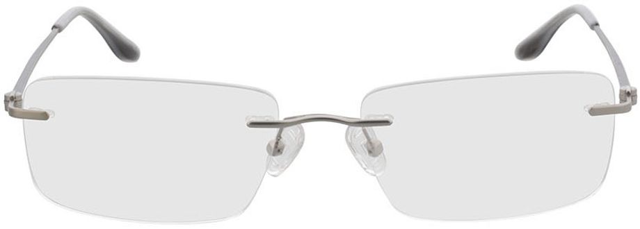 Picture of glasses model Brentwood - silver in angle 0