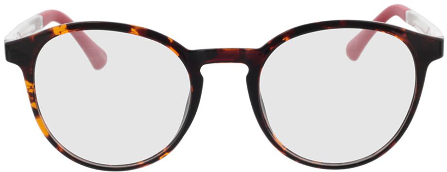 Picture of glasses model Toro - havanna in angle 0