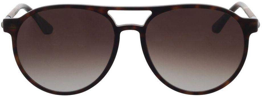 Picture of glasses model Sunglasses Core curled/havana 56-16 in angle 0