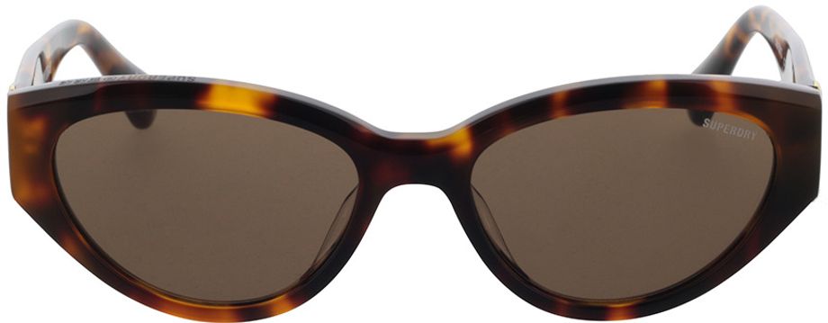 Picture of glasses model Superdry SDS 5013 102 52-17 in angle 0