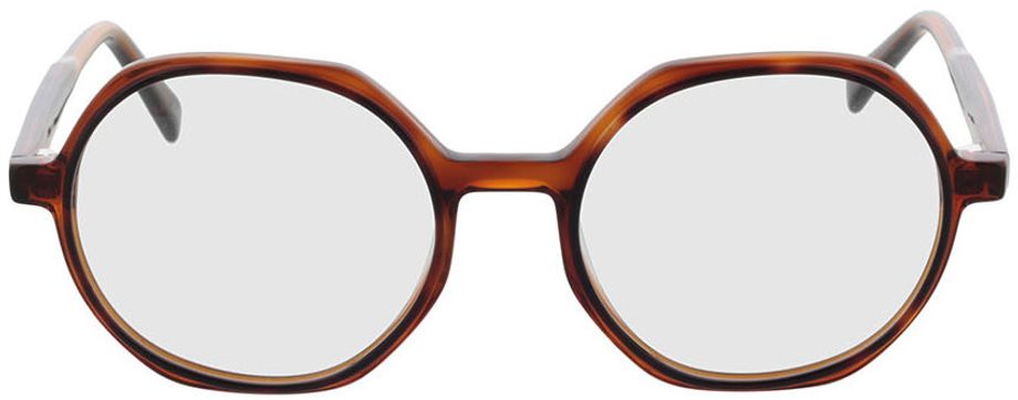 Picture of glasses model Toledo - havana in angle 0