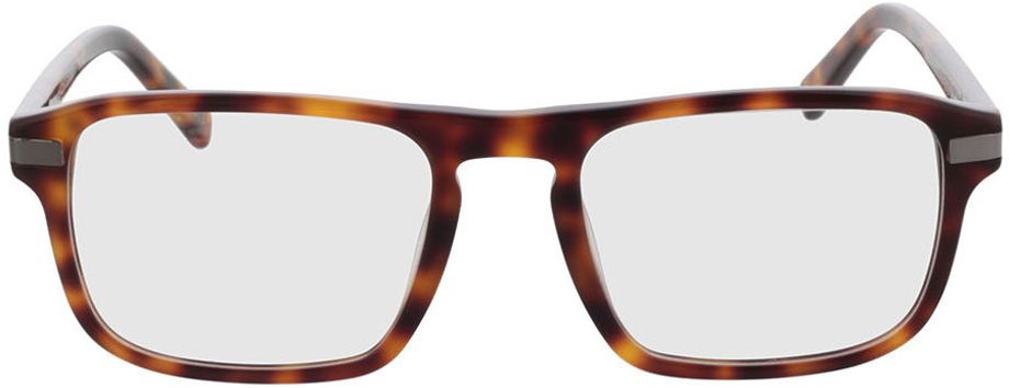 Picture of glasses model Torrance - havana in angle 0