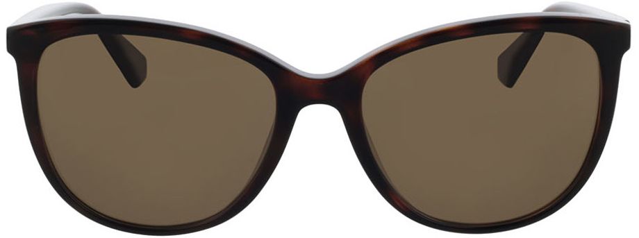 Picture of glasses model PLD 4138/S 086/SP 55-18 in angle 0