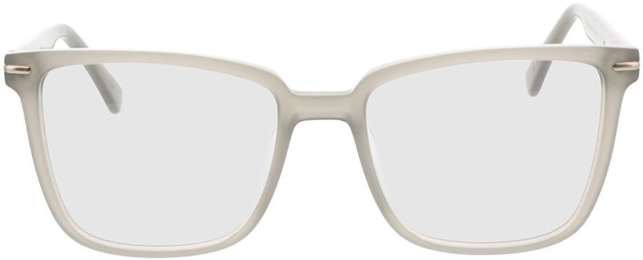 Picture of glasses model Melso-cinzento in angle 0
