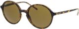 Picture of glasses model Ray-Ban RB4304 710/73 53-20