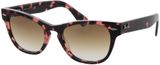 Picture of glasses model Ray-Ban RB2201 133451 54-20