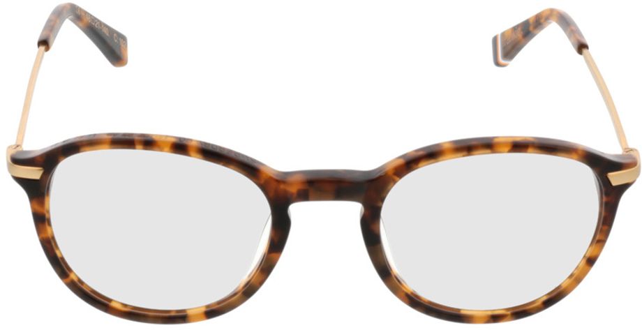 Picture of glasses model Superdry SDO Frankie 102 48-21 in angle 0