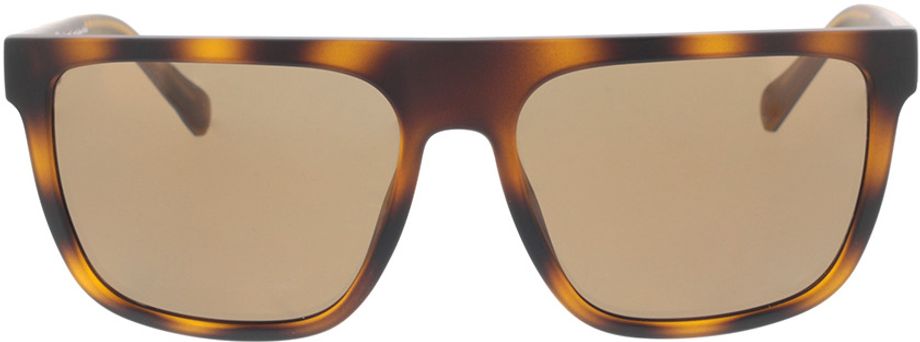 Picture of glasses model Timberland TB9253 52H 58-17 in angle 0