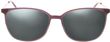 Product with lens tinting