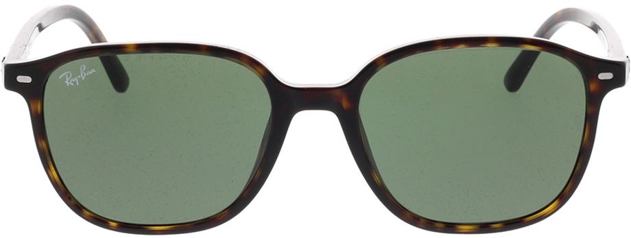 Picture of glasses model Ray-Ban Leonard RB2193 902/31 53-18 in angle 0